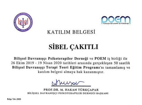 Bilişsel Davranışçı Terapi Teori Eğitim Programı belgesi