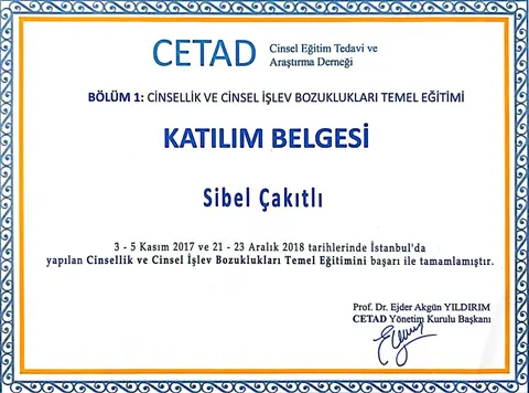 Cinsellik ve Cinsel İşlev Bozuklukları Temel Eğitimi belgesi