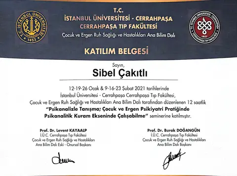 Psikanalizle Tanışma semineri belgesi