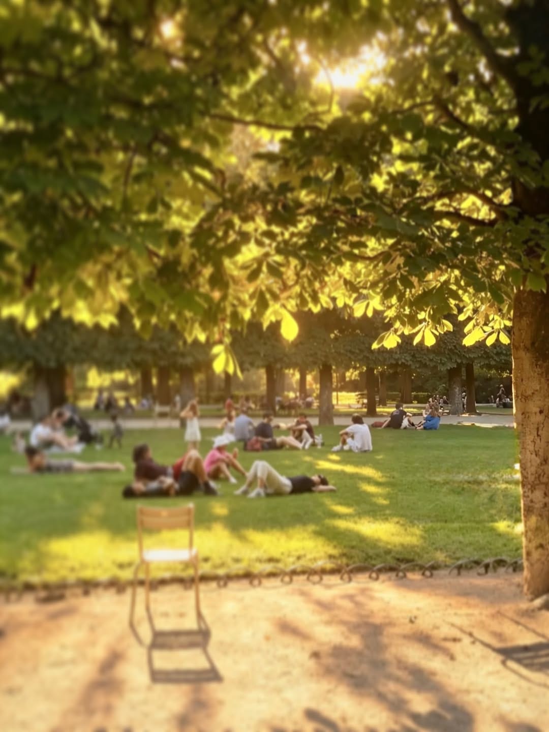 Güneşli bir parkta çimlere uzanmış insanlar